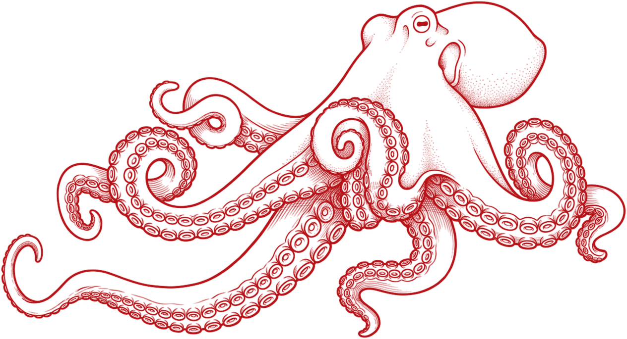 Otto, the ABC English octopus mascot